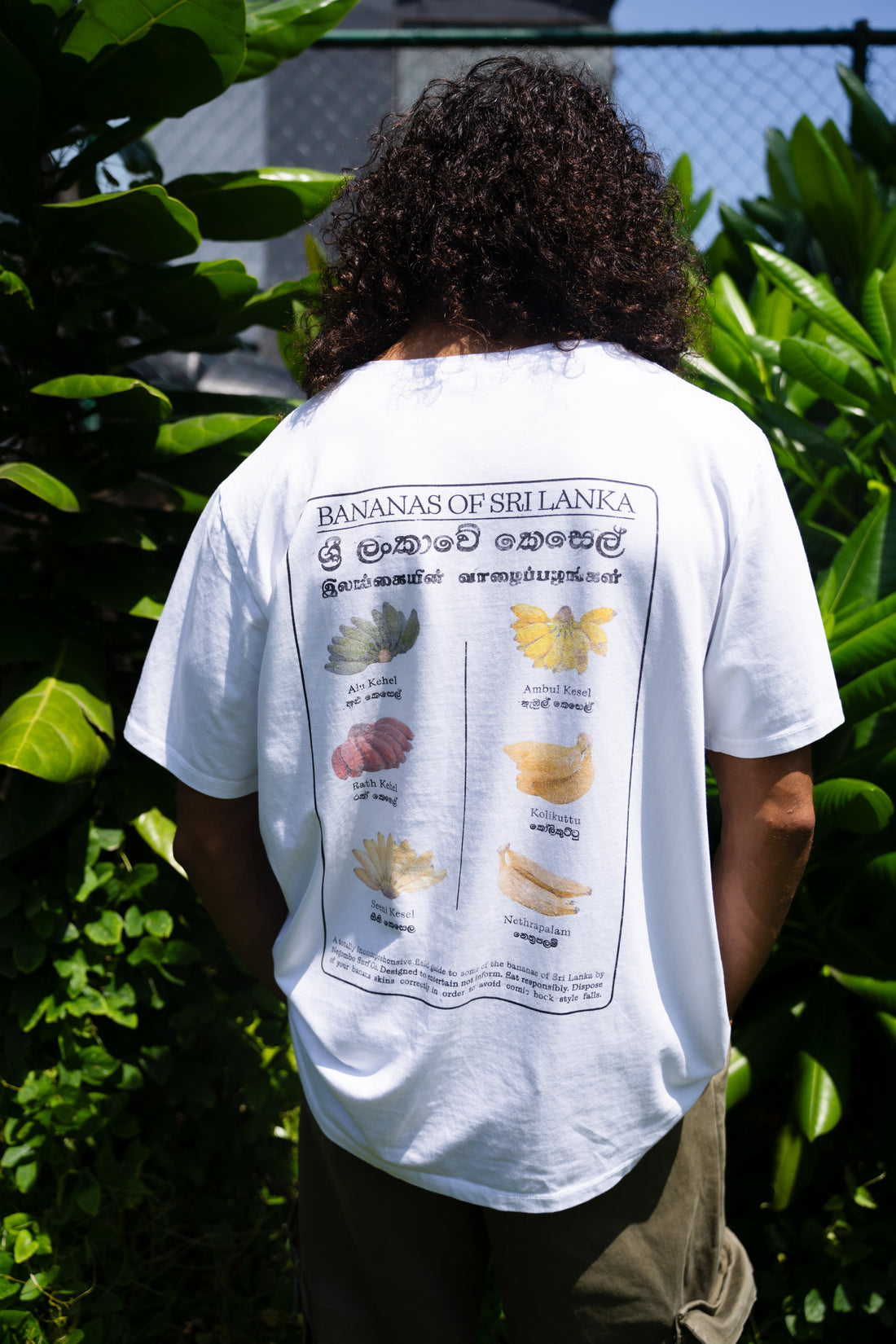 Bananas Of Sri Lanka Graphic Tee